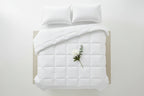 IHG Lightweight Duvet — Queen