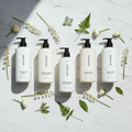 Apotheke Canvas Complete Collection — 5-Piece