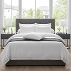 Choice Hotels Luminesse Pillow — Standard Firm