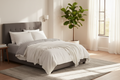 IHG Medium Weight Duvet Insert — King